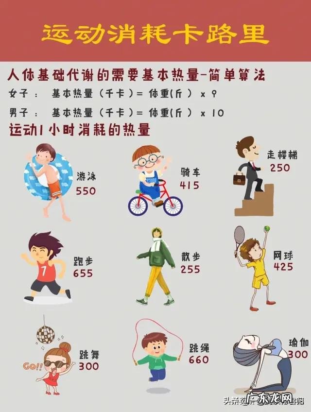 在控制饮食的前提下,如果适当减少运动量,是否会影响减肥效果