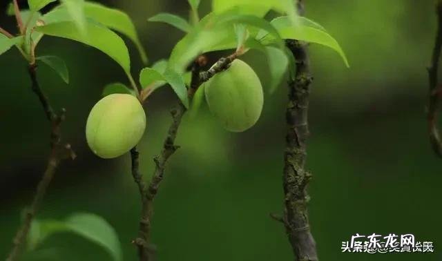 有人说书法可以速成,也有人说那是书法培训班骗人的,你怎么看