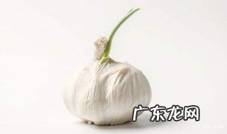 大蒜存放方法