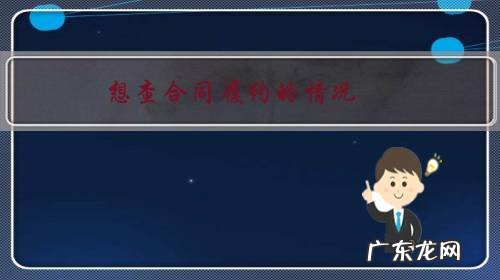 想查合同履约的情况，一般检查什么内容？