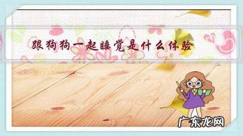 和狗狗睡一起 跟狗狗一起睡觉是什么体验?