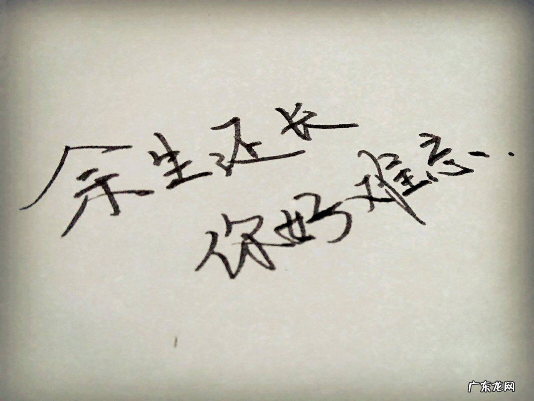 比较温馨句子大全