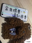 余生很贵请别浪费的意思