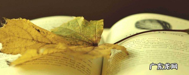 水调歌头感悟人生哲理