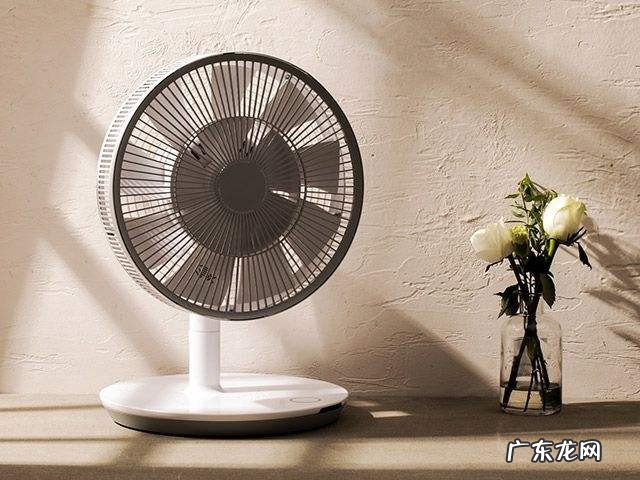 怎么处理电风扇灰尘