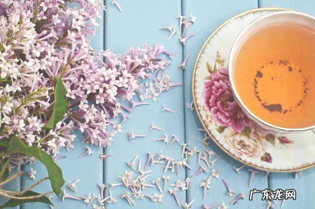 婆婆丁根泡水喝的禁忌