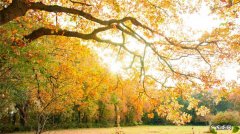 关于九月的唯美诗句