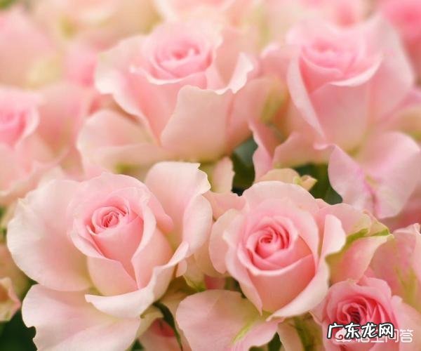 有哪些唯美精辟的爱情哲理语录?