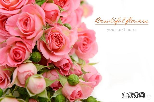 有哪些唯美精辟的爱情哲理语录?