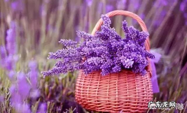 有哪些唯美精辟的爱情哲理语录?