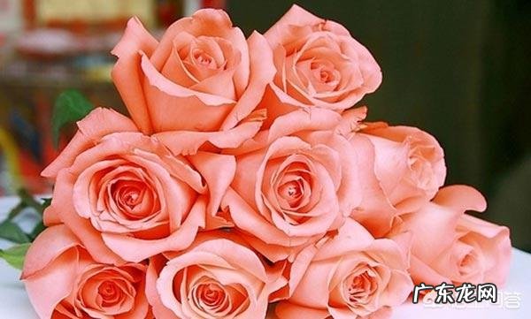 有哪些唯美精辟的爱情哲理语录?