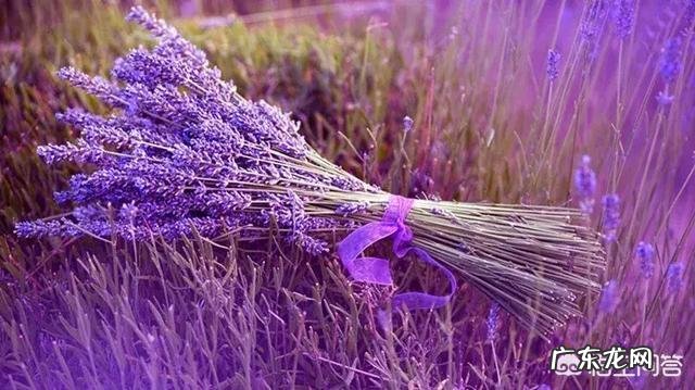 有哪些唯美精辟的爱情哲理语录?