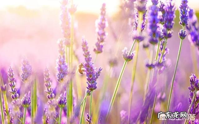 有哪些唯美精辟的爱情哲理语录?