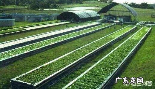 未来五到十年,哪些行业最赚钱,做什么行业有发展前景呢?