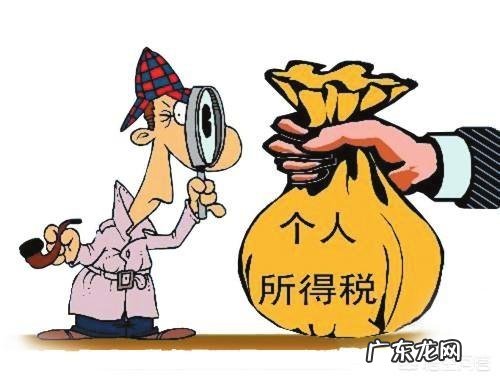 纳税人在两家公司获得工资收入,如何申报个人所得税?