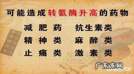 什么情况下转氨酶才会升高