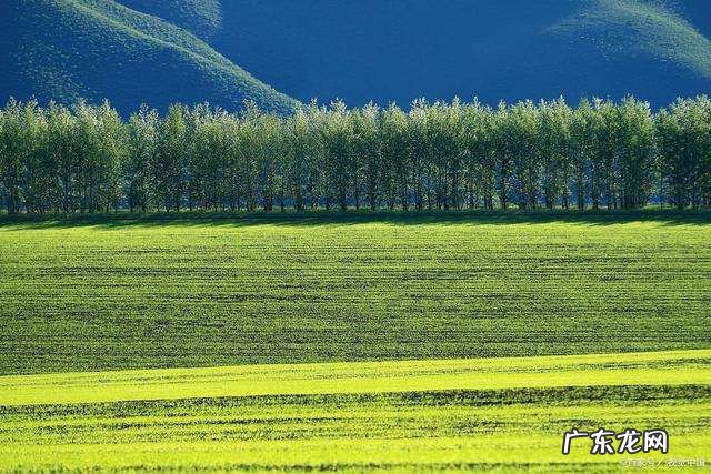 我国最大的平原位于哪