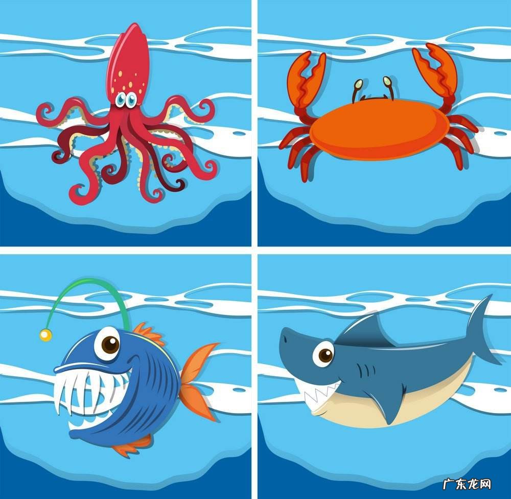 鲨鱼是不是哺乳动物