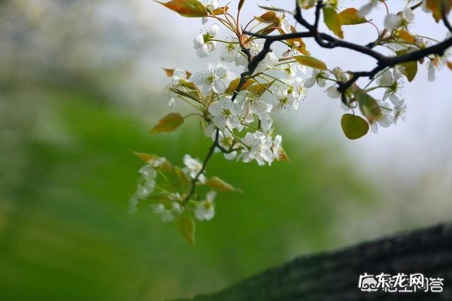 古人做了多少关于夏天的诗词?