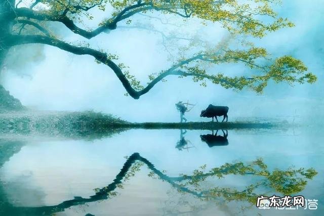 古人做了多少关于夏天的诗词?