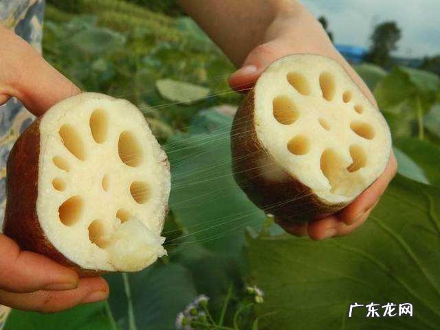 藕炒不会变黑的方法