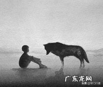 有哪些关于狼的故事?