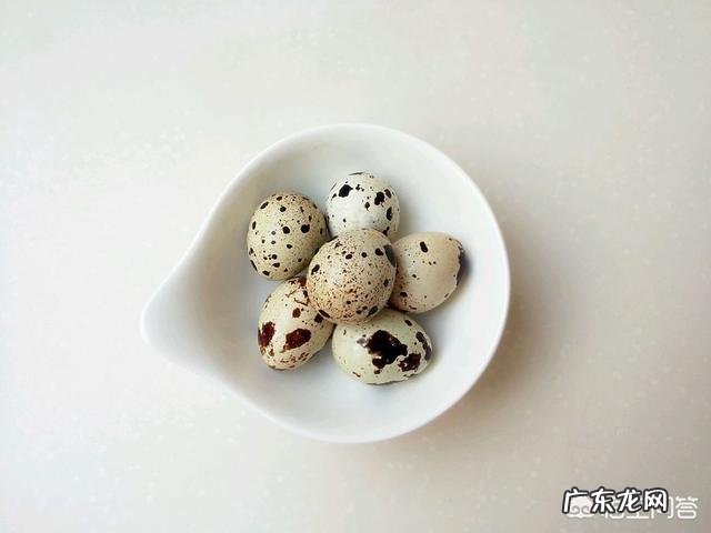 鹌鹑蛋有什么营养怎么做最好吃