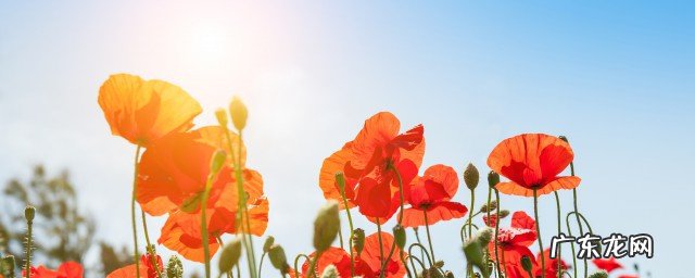 适合早晨发的朋友圈句子