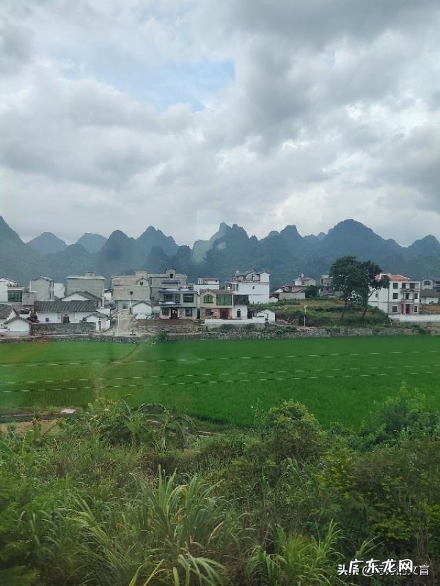 可以把你最近拍的最漂亮的照片分享一下吗?