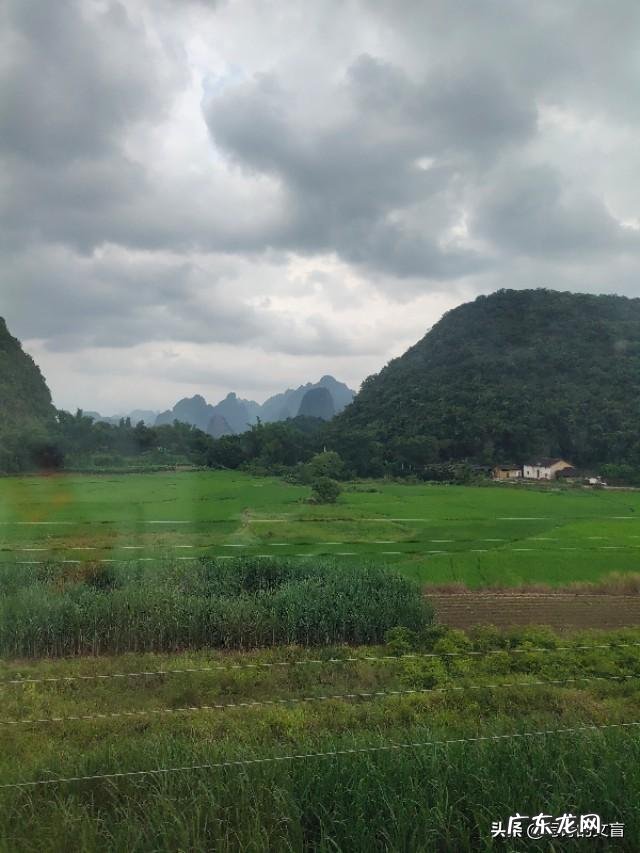 可以把你最近拍的最漂亮的照片分享一下吗?