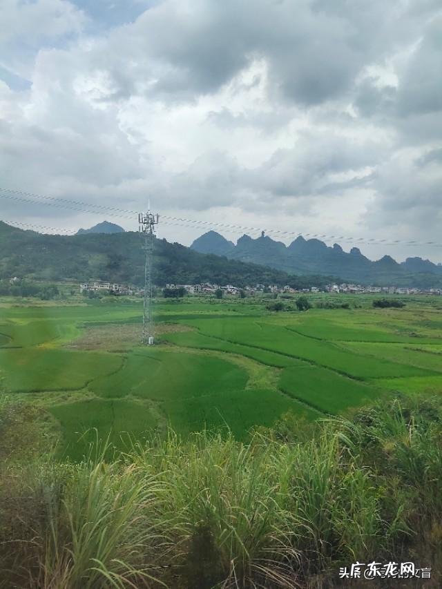 可以把你最近拍的最漂亮的照片分享一下吗?