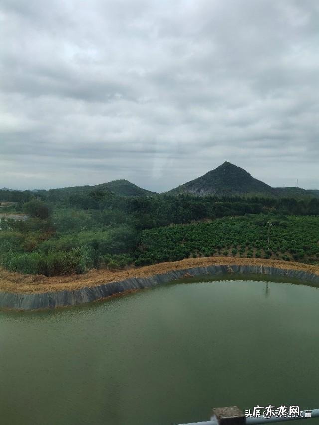 可以把你最近拍的最漂亮的照片分享一下吗?