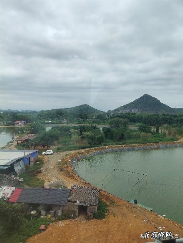 可以把你最近拍的最漂亮的照片分享一下吗?