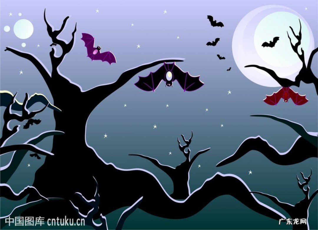 蝙蝠是益虫还是害虫