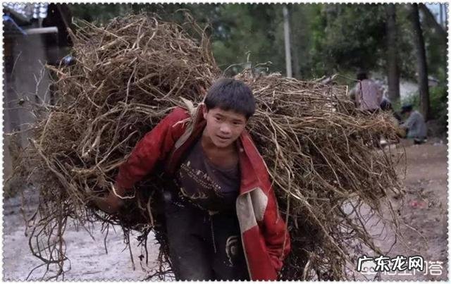 贫困户不愿脱贫怎么办？