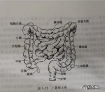 肠癌有什么前兆症状？