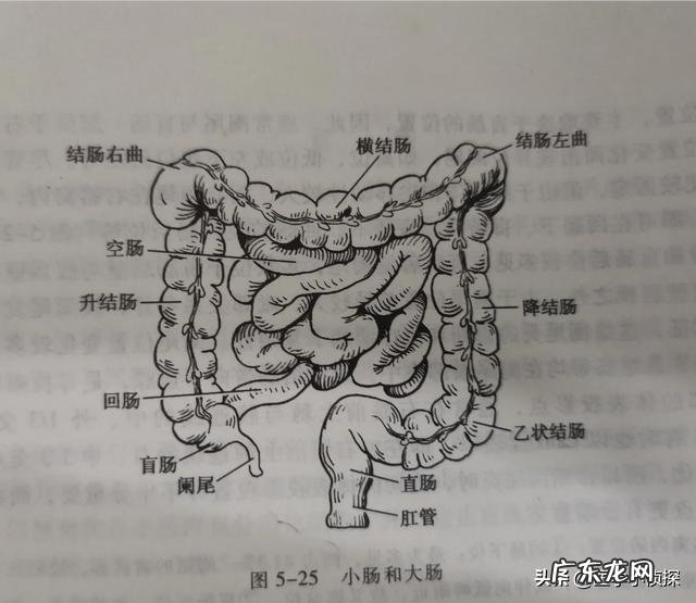 肠癌有什么前兆症状?