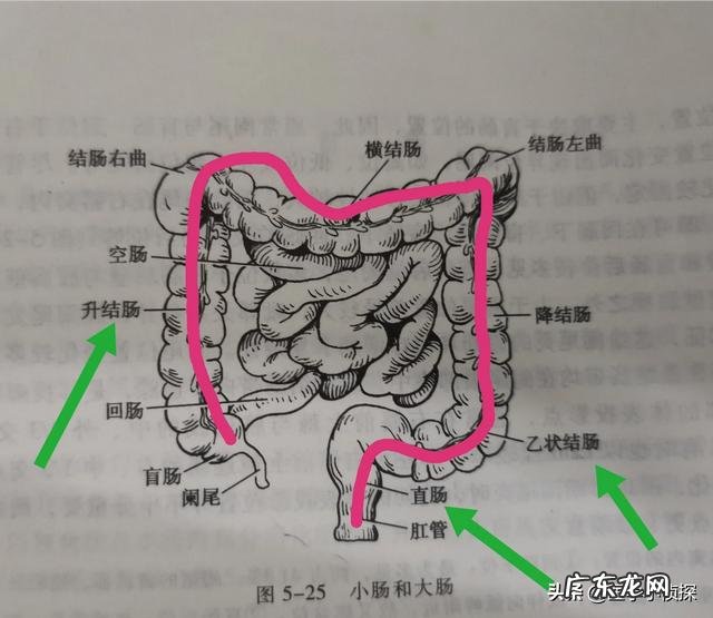 肠癌有什么前兆症状?
