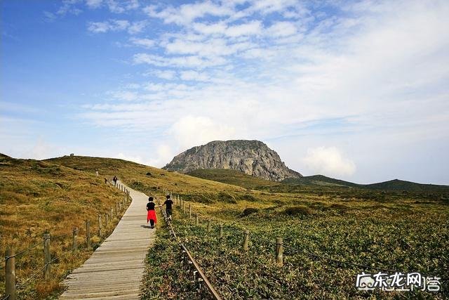 韩国平均身高有优势,但韩国女排却比中国女排矮很多,这是为何
