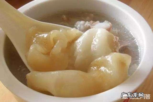 鱼胶是鱼的哪个部位、鱼胶是鱼泡吗？