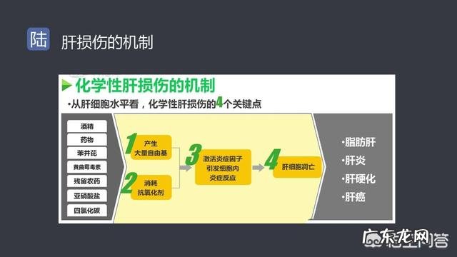 无氧运动对缓解脂肪肝有帮助吗