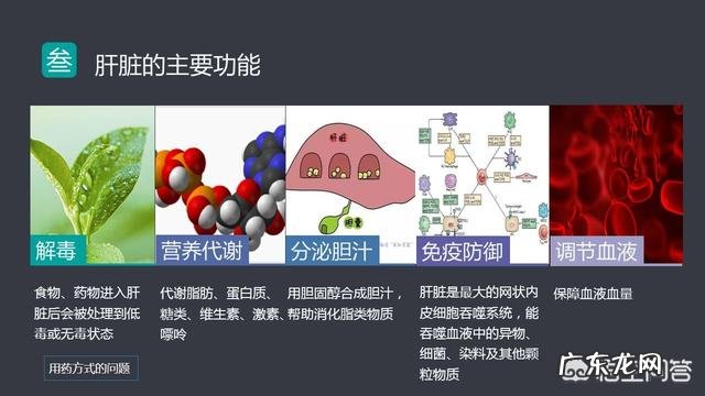 无氧运动对缓解脂肪肝有帮助吗