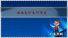 写生画是什么意思 画画为什么叫写生？