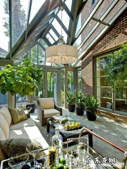 金钱树该怎么养？