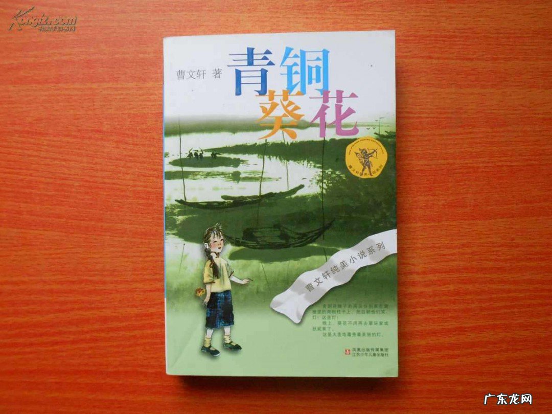 青铜葵花读后感400字