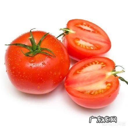 西红柿英语单词是什么?