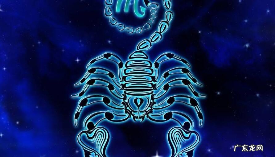 八月天蝎座运气如何