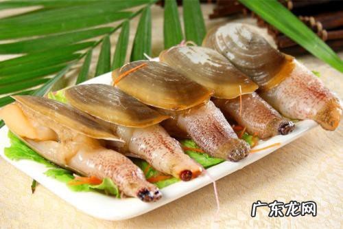 河蚌的营养价值