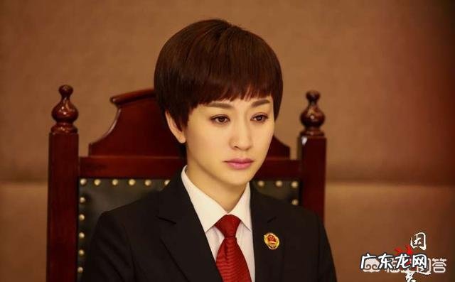 如何评价由李幼斌、李小冉、张丰毅主演的电视剧《因法之名》?