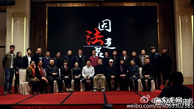 如何评价由李幼斌、李小冉、张丰毅主演的电视剧《因法之名》?